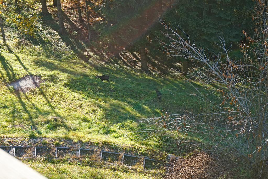 Domaine De La Croix De Javernaz ヴィラール・シュル・オロン エクステリア 写真