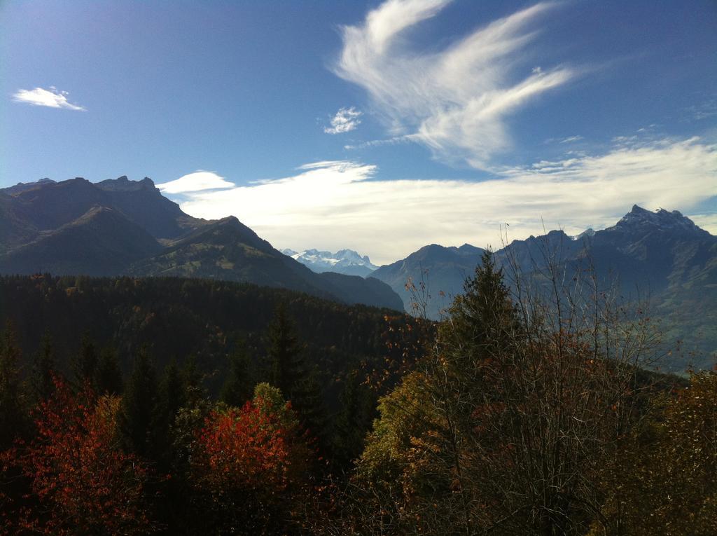 Domaine De La Croix De Javernaz ヴィラール・シュル・オロン エクステリア 写真