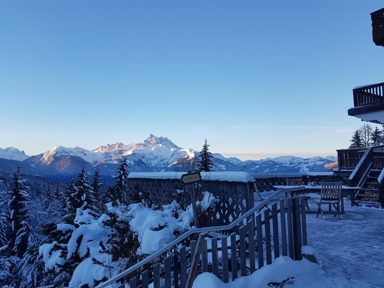 Domaine De La Croix De Javernaz ヴィラール・シュル・オロン エクステリア 写真